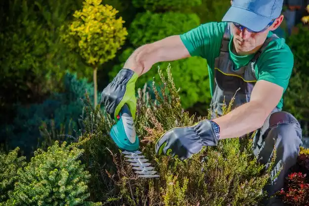 landscaping services Cutchogue